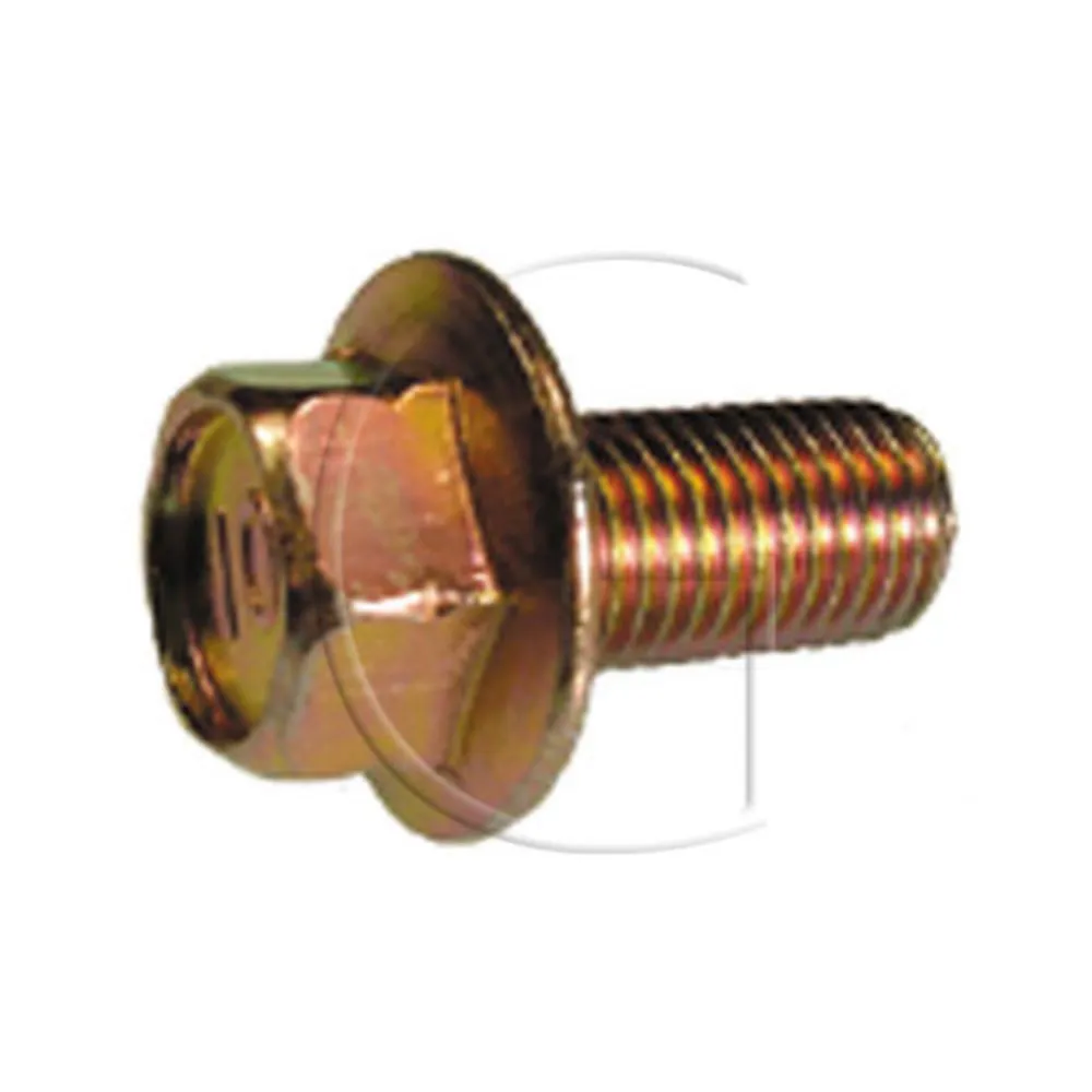 dmt-onlineshop-120261023065324524446